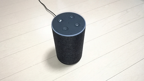 AmazonEcho