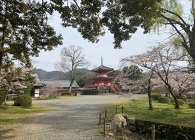 大覚寺