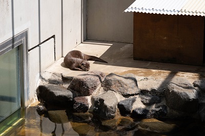 動物園③