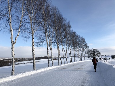 雪景色