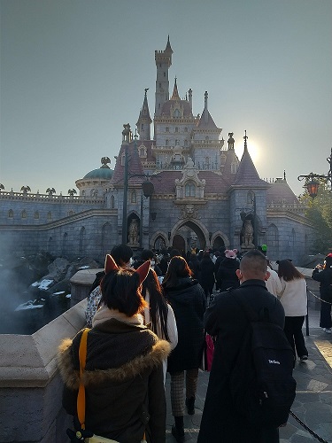 TDL②