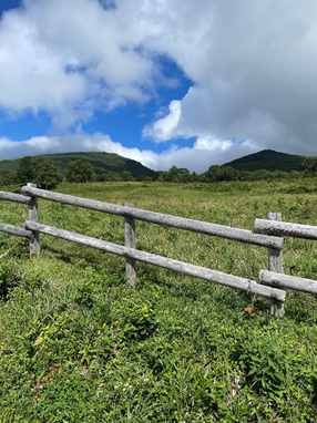 山の景色