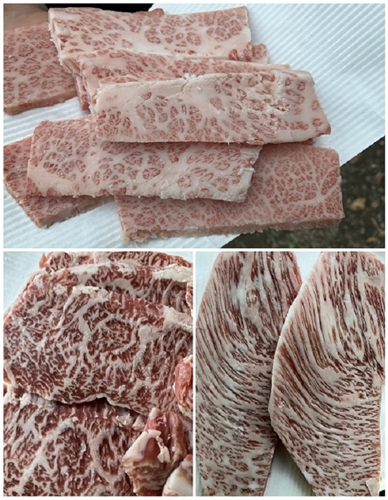 お肉2